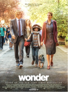 “Wonder Boy” : Beauty is always hidden where we can’t see